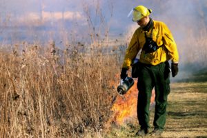 Understanding the Risk of Fire and other Resources